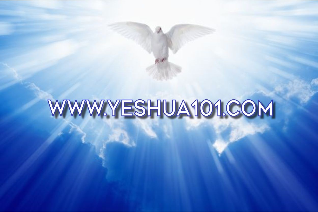 WWW.YESHUA101.COM  domain name , website, For Sale , religious, , Christian,