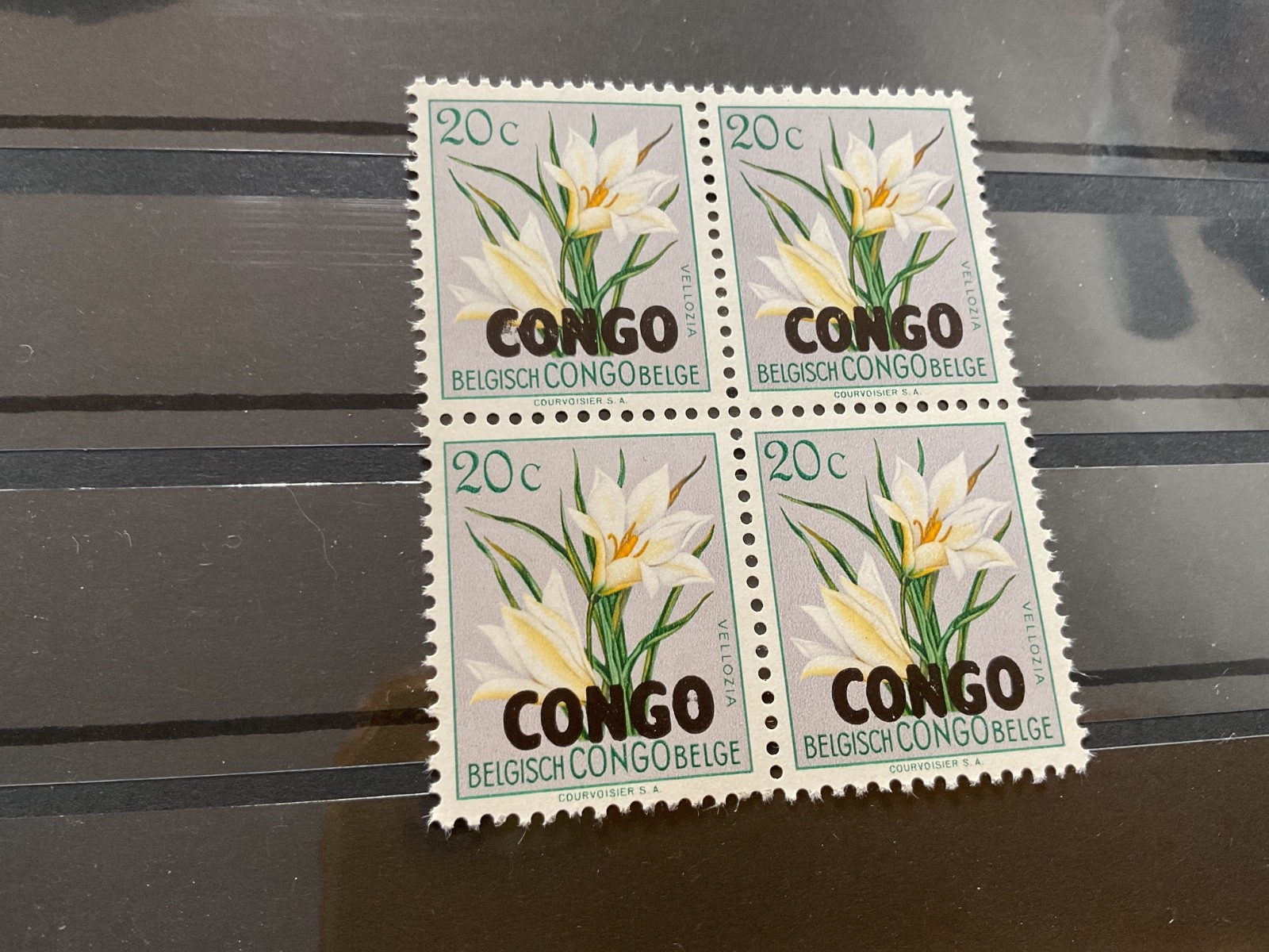 Belgian Congo Flora mint never hinged  stamps block  B3397