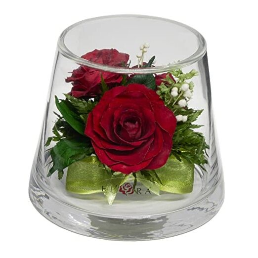 Fiora Flower | Long Lasting Real Roses in a Sealed Vase | Lasts up to 5 Ruby