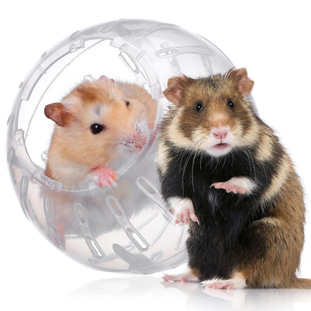 Hamster Running Ball Hamster Clear Ball Small Pet Running Exercise Ball