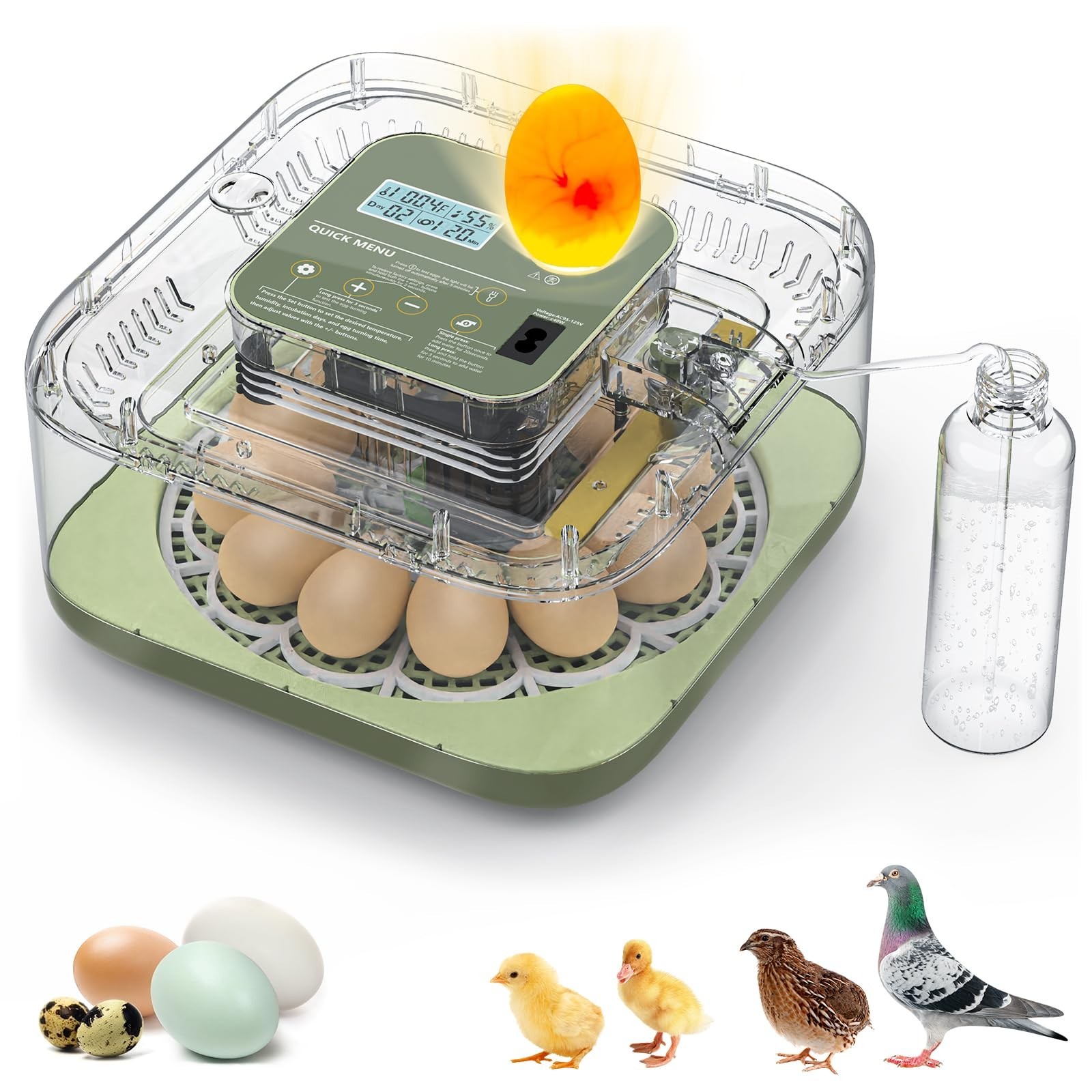 Incubators for Hatching Eggs, 12 Eggs Capacity, Egg Incubator with Automatic ...