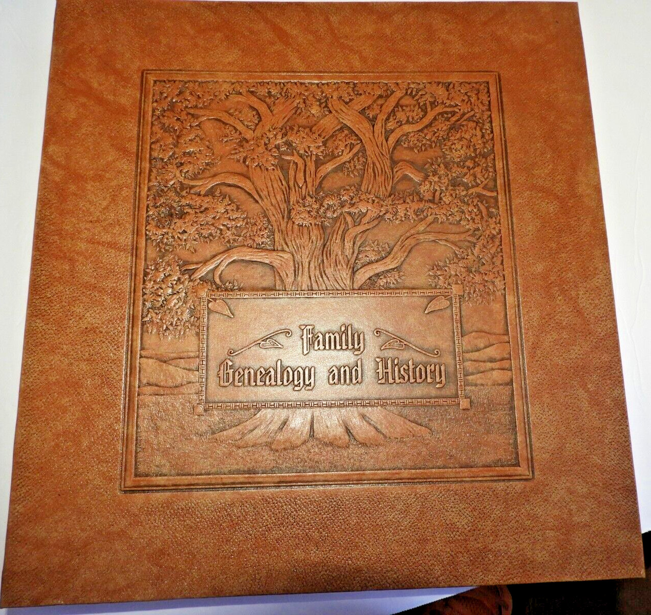 Family Genealogy History Book Family Tree Record Album 1st Ed 1991 Reinecke HC