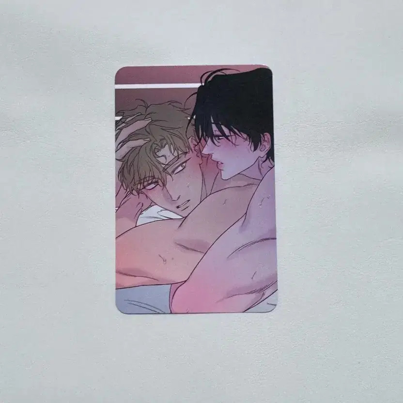 Patagonia Coastal Cafe Remake New Year Gift Photo Card