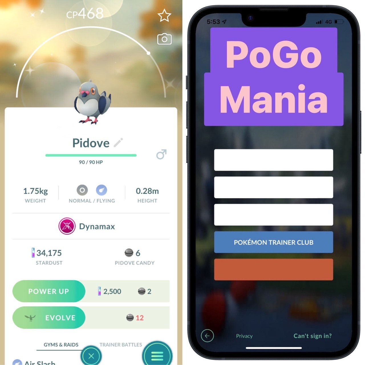 Shiny Dynamax Pidove✨mini PTC 20k✨(read description)