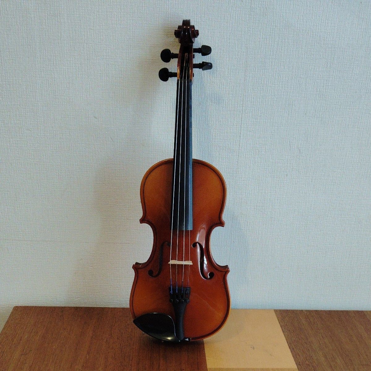 HORA Reghin violin 1/8 size made in 2012 for children