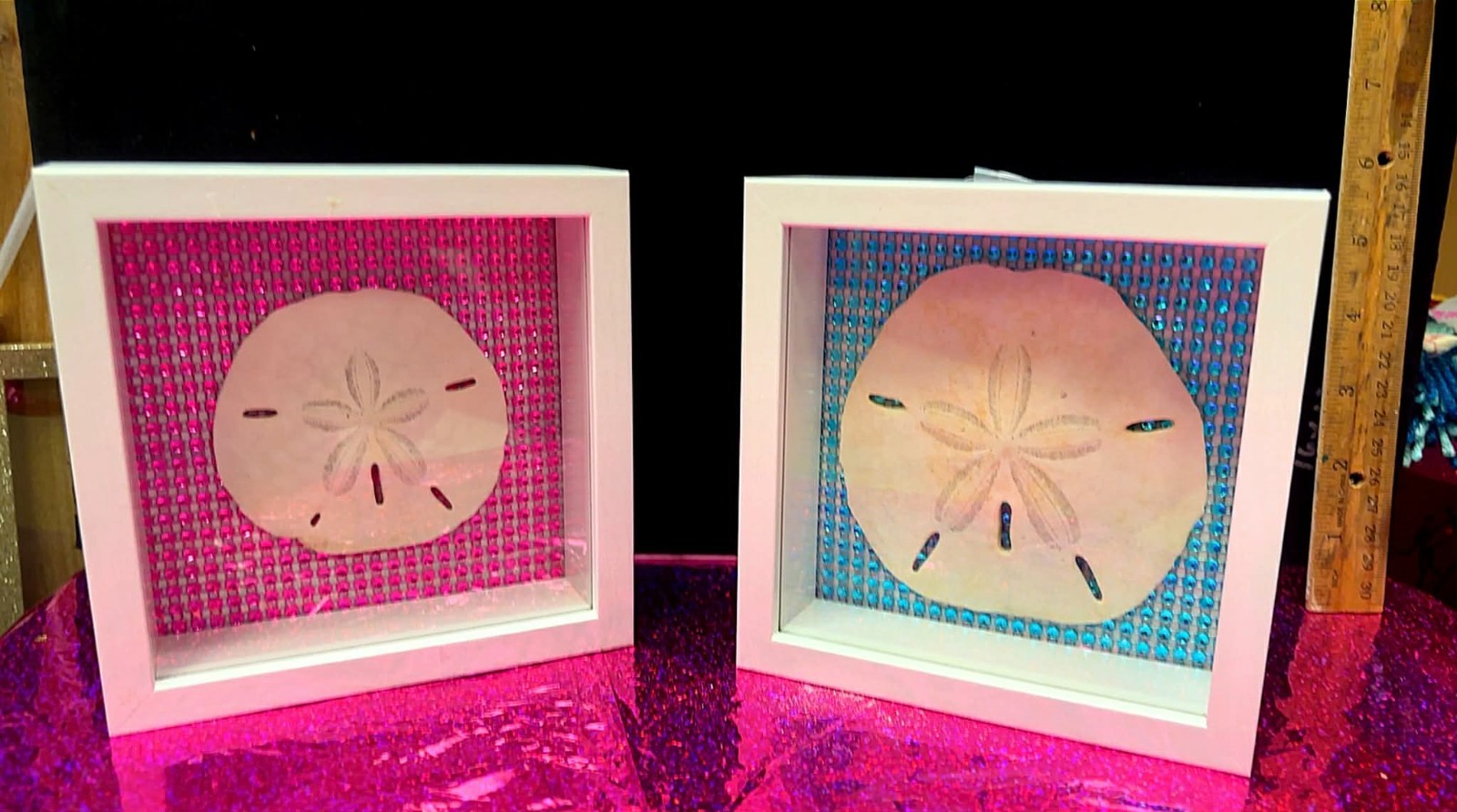SAND DOLLAR IN WHITE SHADOW BOX FRAME SET WITH PINK&BLUE GLITTER ACCENT/ 5.5x5.5
