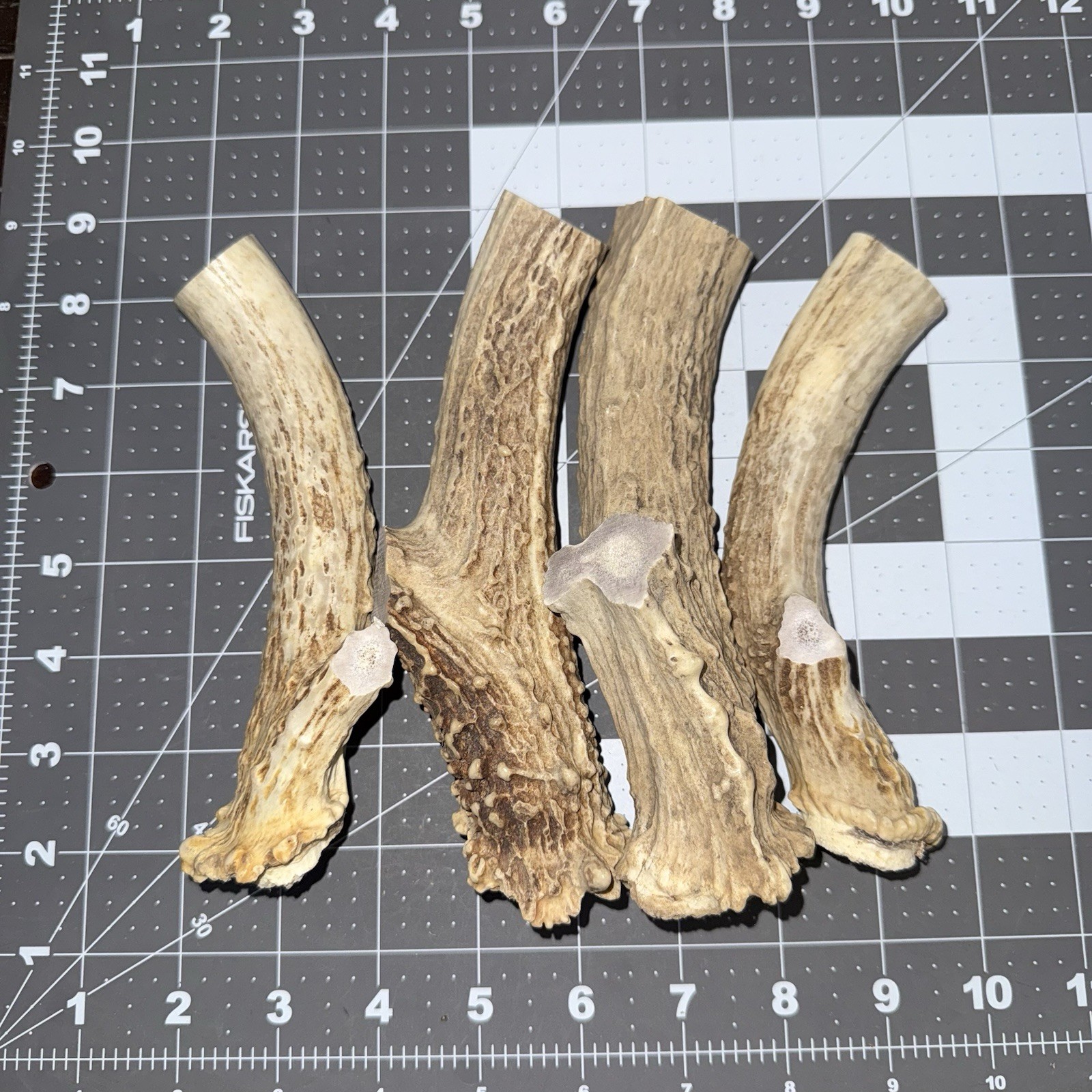 Lot Of 4 Whitetail Deer Antler Base knife handle / sheds antler whitetail deer F