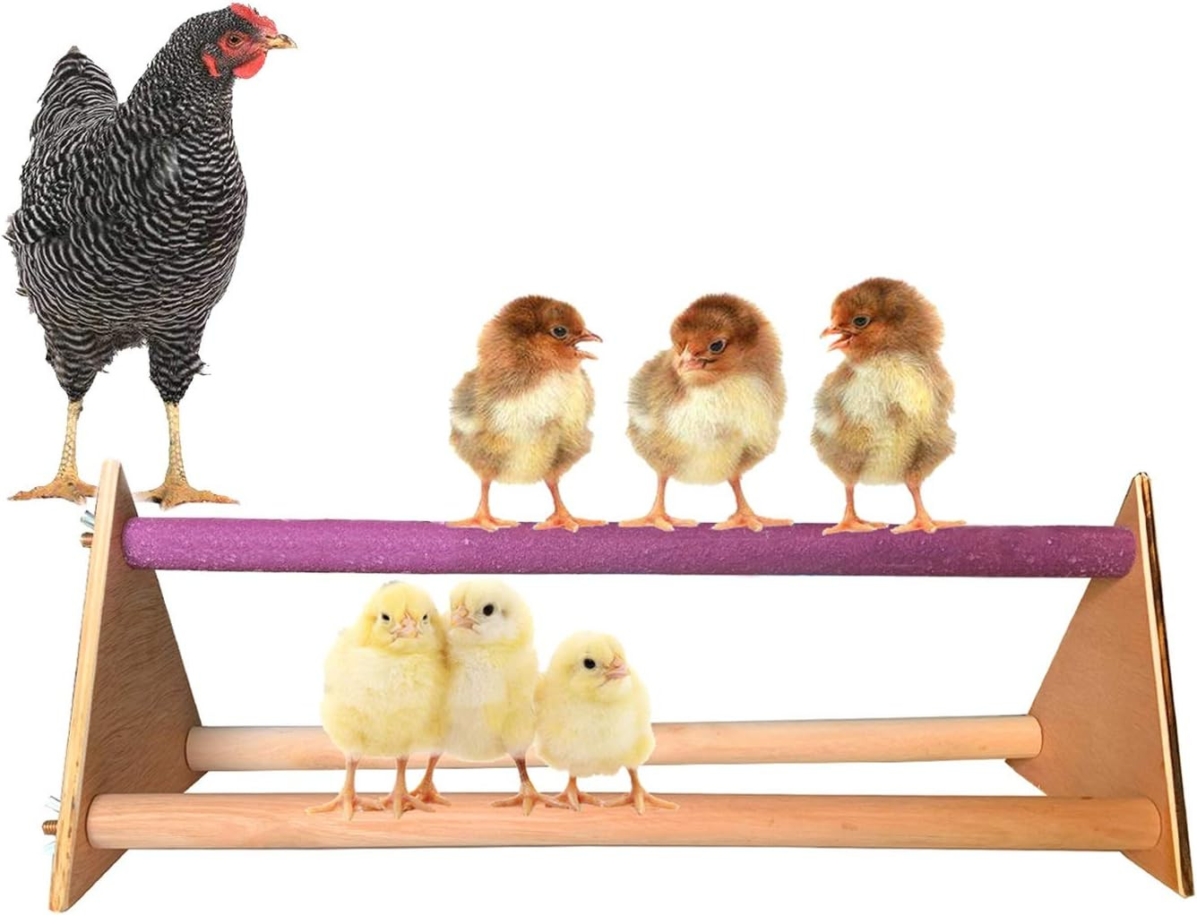 Chicken Perch - Wooden Chicken Swing for Hens & Large Birds