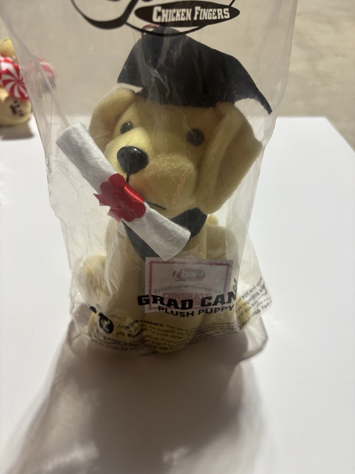 Cane's Grad Can Plush Puppy 2023  Chicken Fingers Fast Food Toy