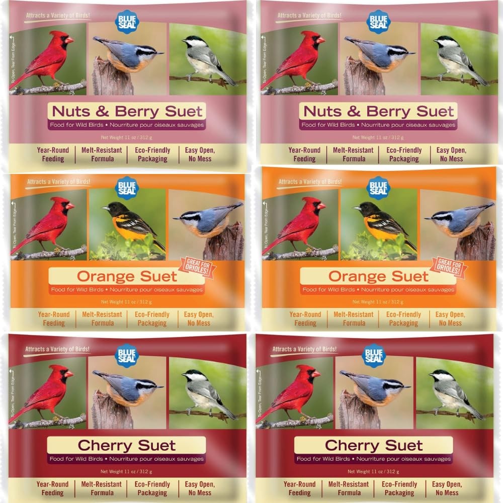 Blend Suet Cakes for Wild Birds - No Mess Suet Feed, Food for Woodpeckers, Ca...