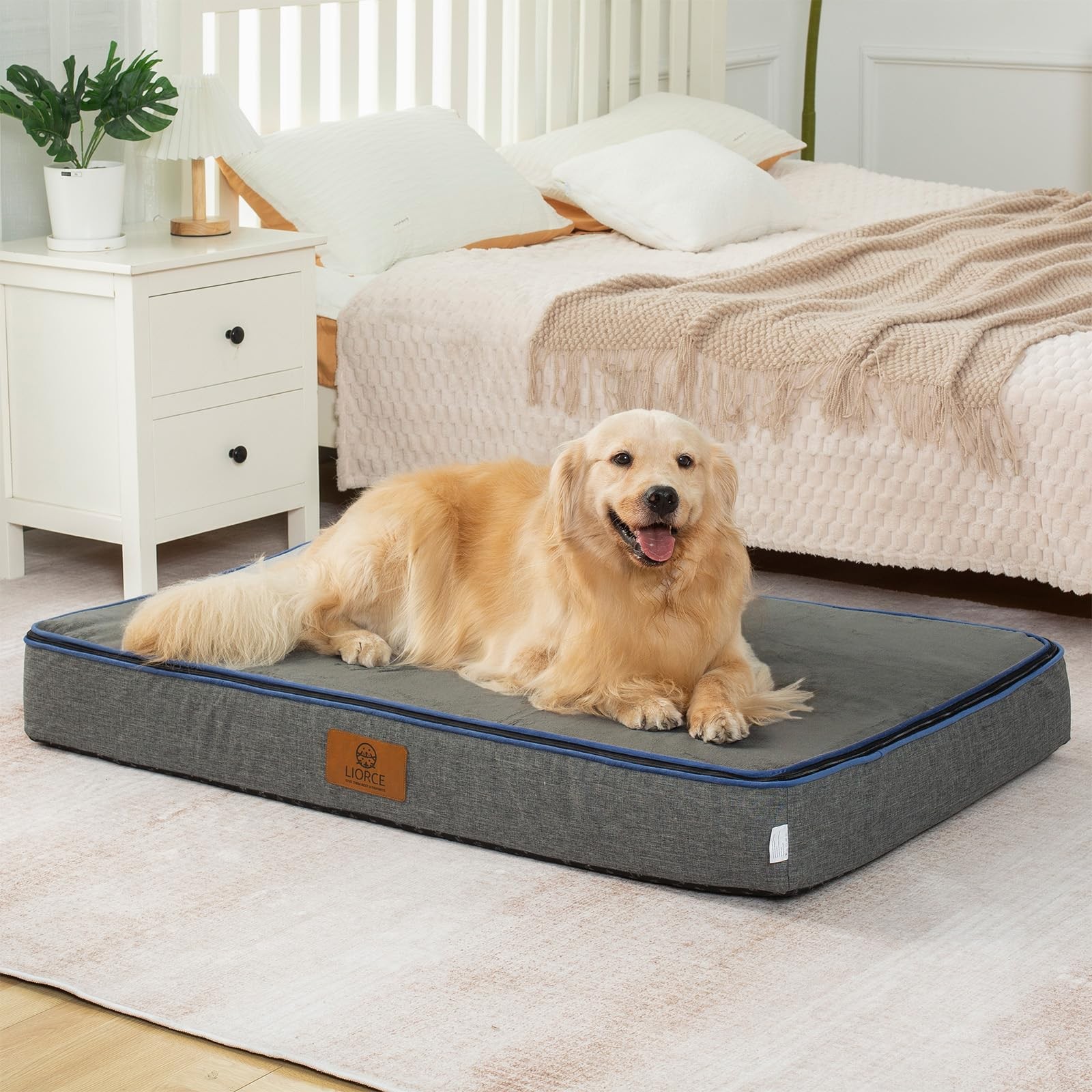 Orthopedic Memory Foam XXL Dog Bed 6 Thick Waterproof Removable Cover Dary Grey