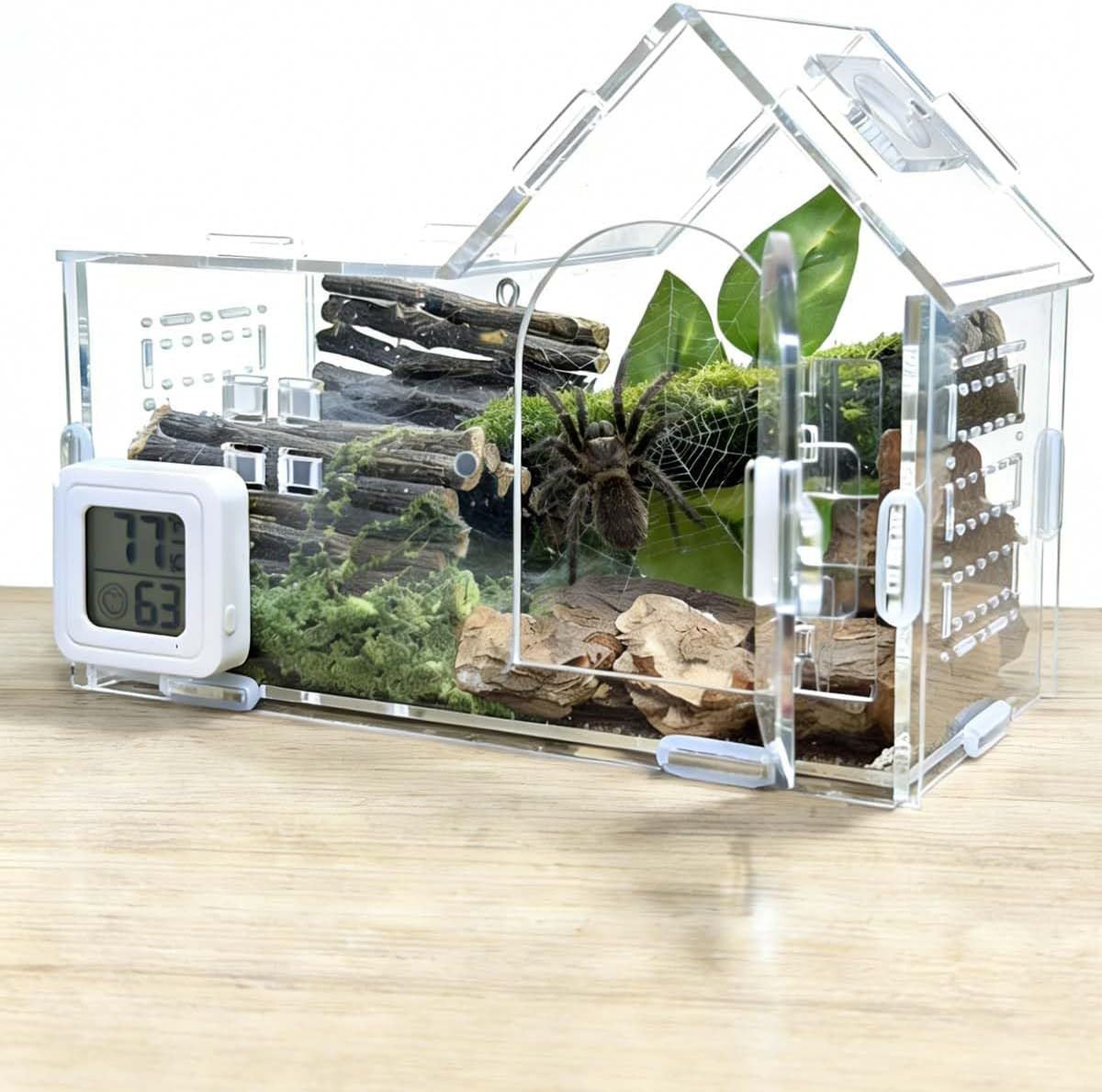 Jumping Spider Enclosure with Thermometer - Acrylic Reptile Habitat, Escape-Proo