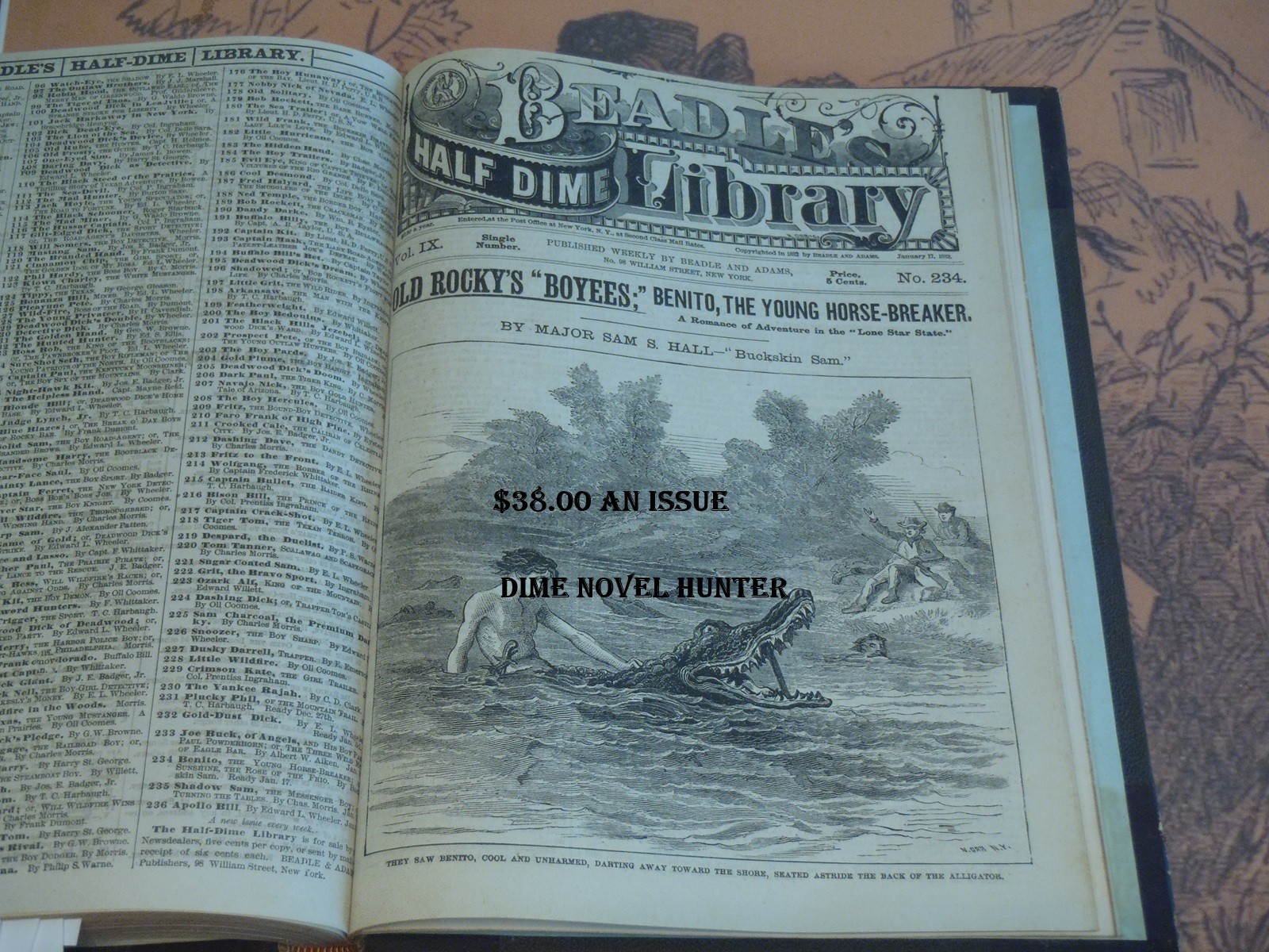 BEADLE'S HALF DIME LIBRARY #209 - #234 OLL COOMES BUCKSIN SAM 26 ISS DIME NOVELS