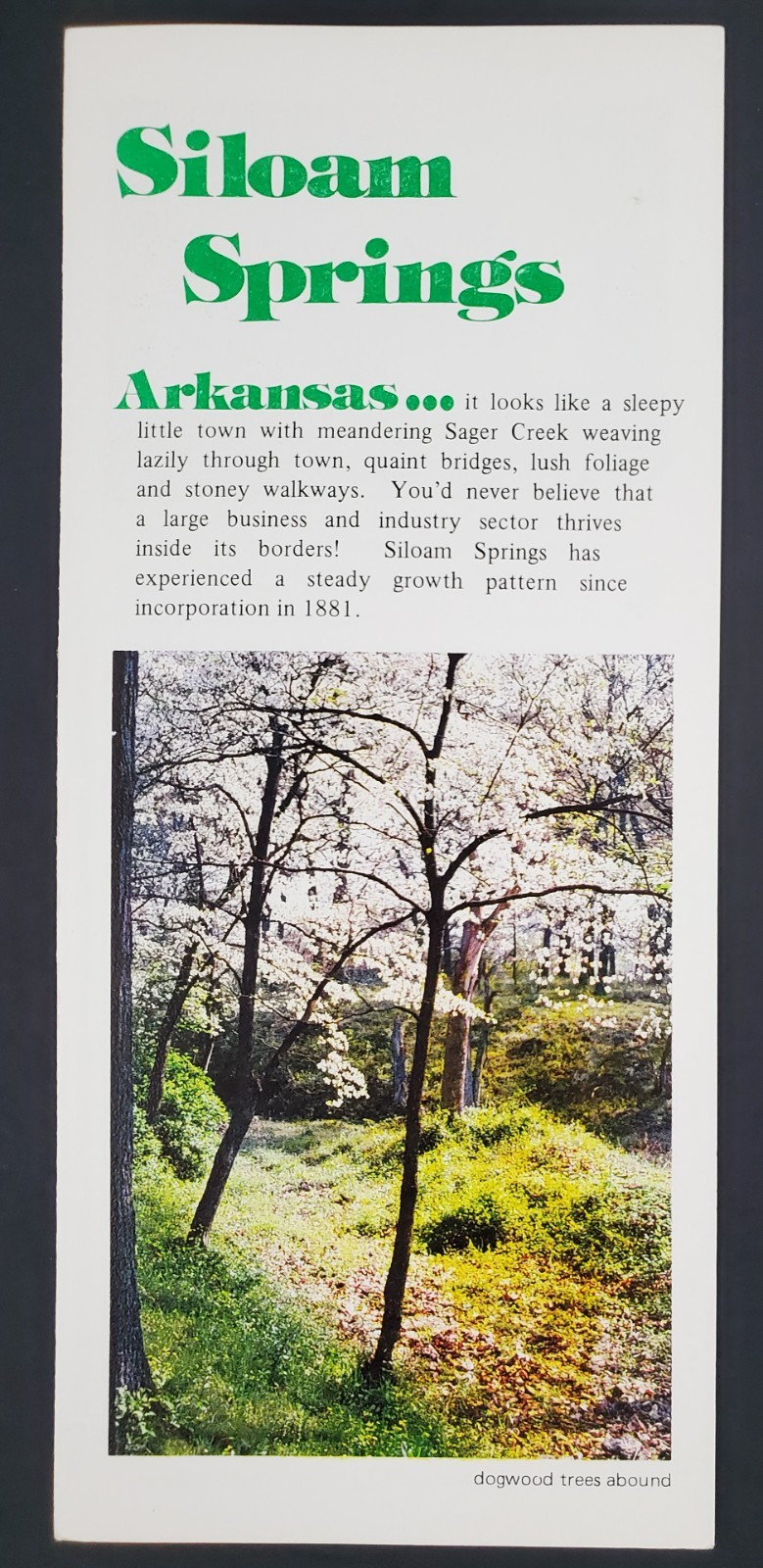 1970s Siloam Springs Arkansas AR City Promotional Vintage Travel Brochure