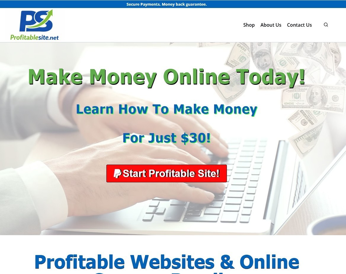 Established Website ProfitableSite.net
