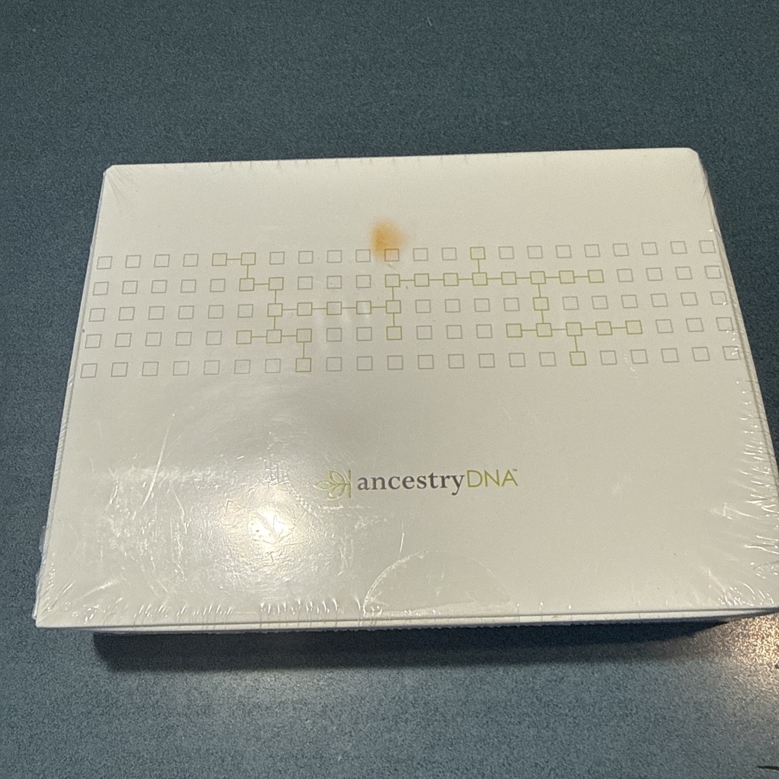 2013 Ancestry DNA Genetic Test Kit Factory Sealed New in Box