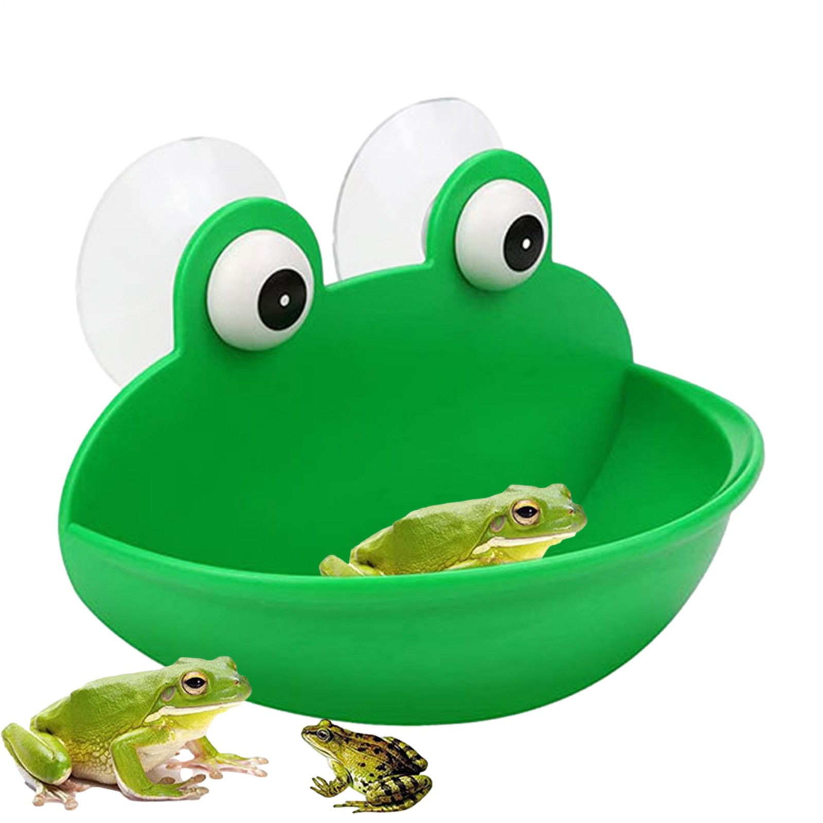 Frog Dish Holder Wall-Mounted Tank Decoration For Small Aquatic Animals Habitat