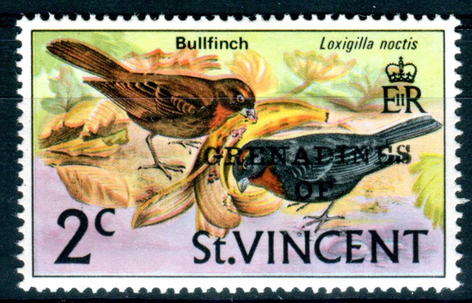 St Vincent Bullfich 2c 1974 Grenadines Mint Stamp. Birds