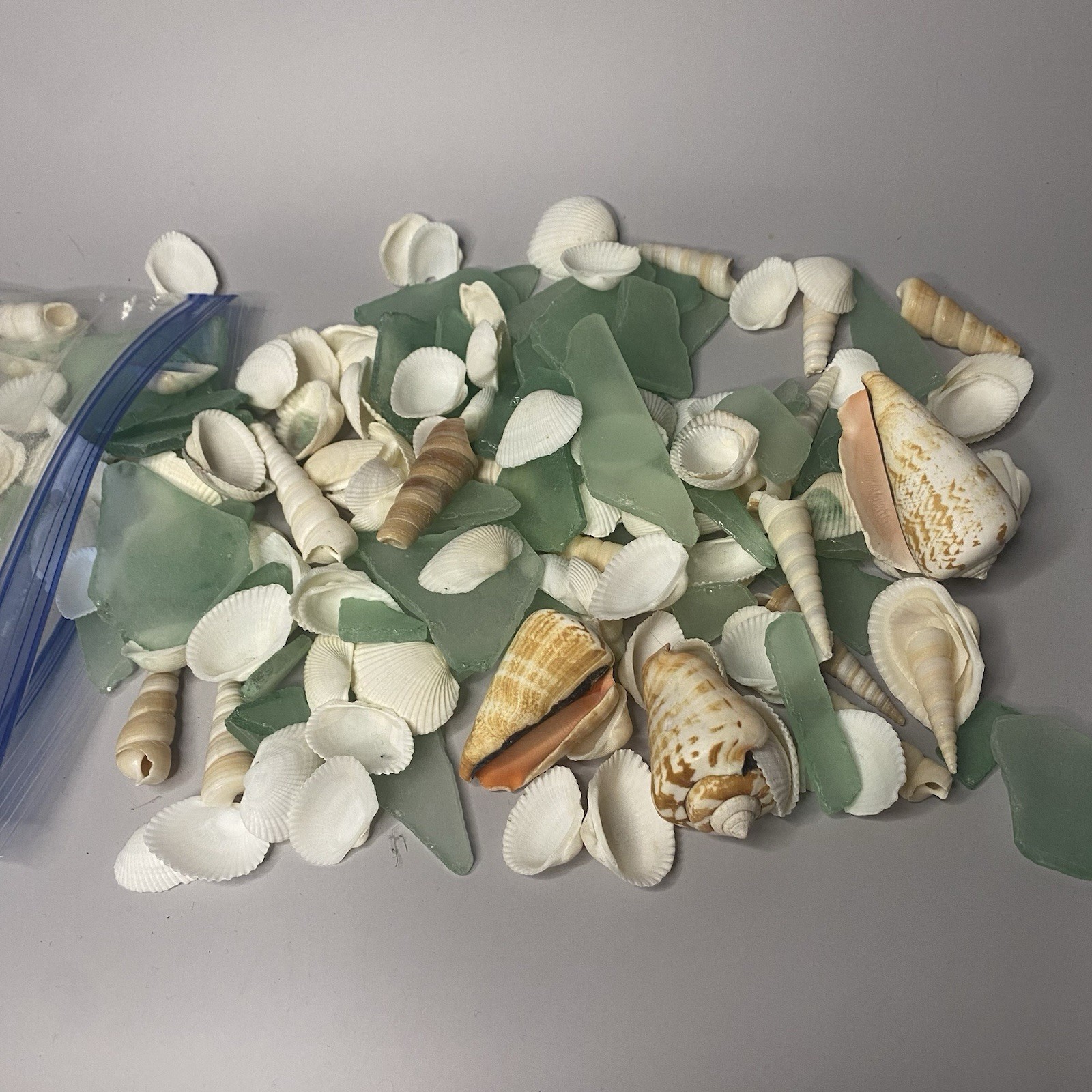Sea Glass And Seashell Lot Assorted Sizes And Shapes-Crafting/Jewelry-1LB