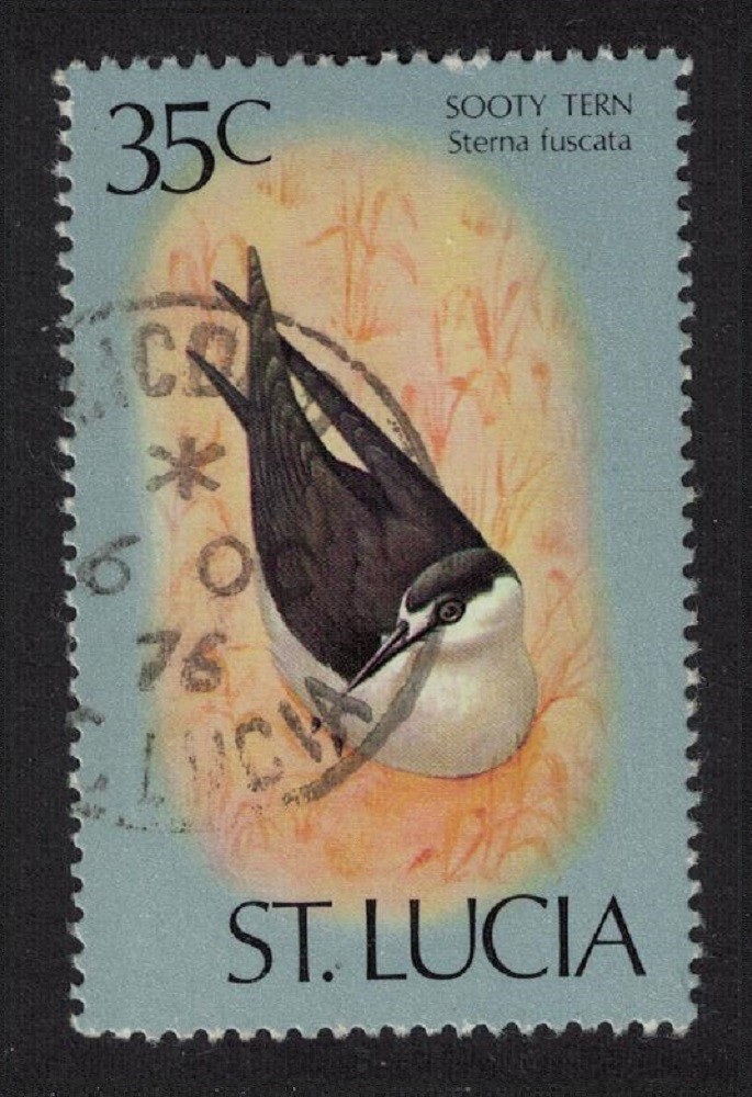 St. Lucia Sooty tern Bird 35c T1 1976 Canc SG#425