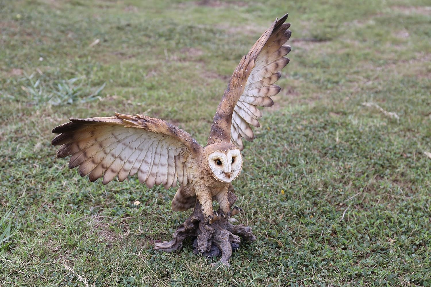 87727-B Barn Owl on Stump with Wings Open Statue