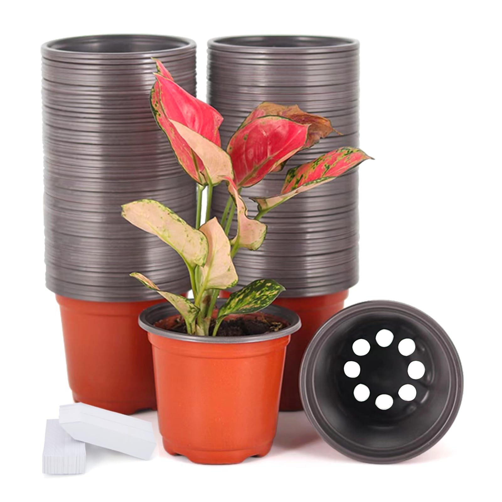 JERIA 100-Pack 4 Inch Plastic Plant Nursery Pots Come with 100 4 Inch, Mint 