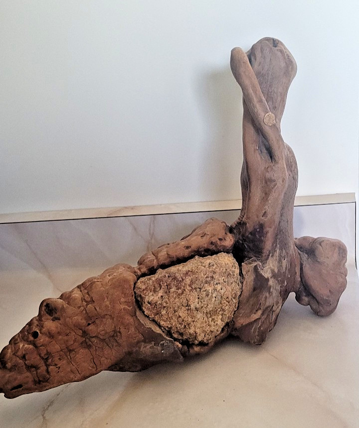 Vintage Lacquered Tree Root Sculpture Gnarled Burled Wood 13x10" stone center