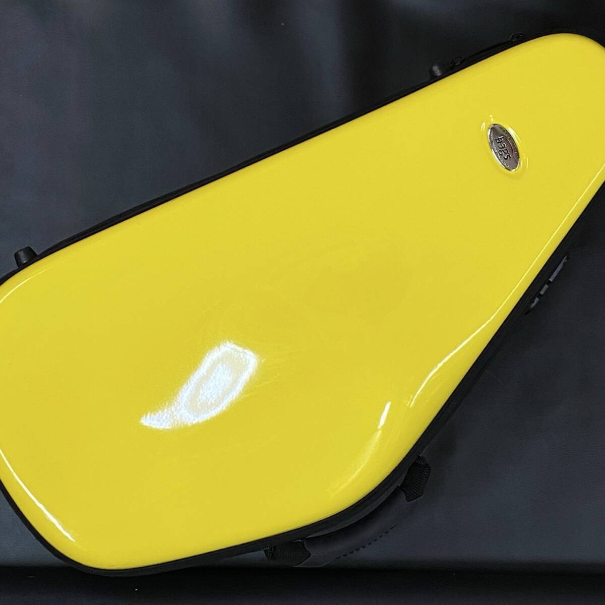 Bags / Bags EFAS YEL alto saxophone case used