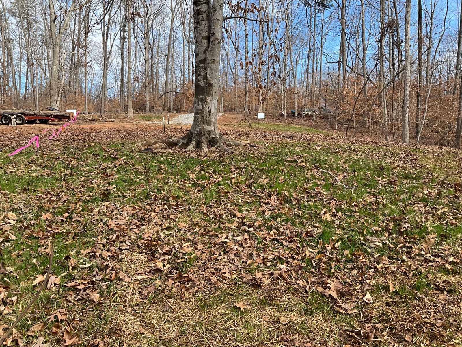 Lake Hartwell Lakeside Lot 1/3 Ready To Build water sewer Amenities 12 mile I-85