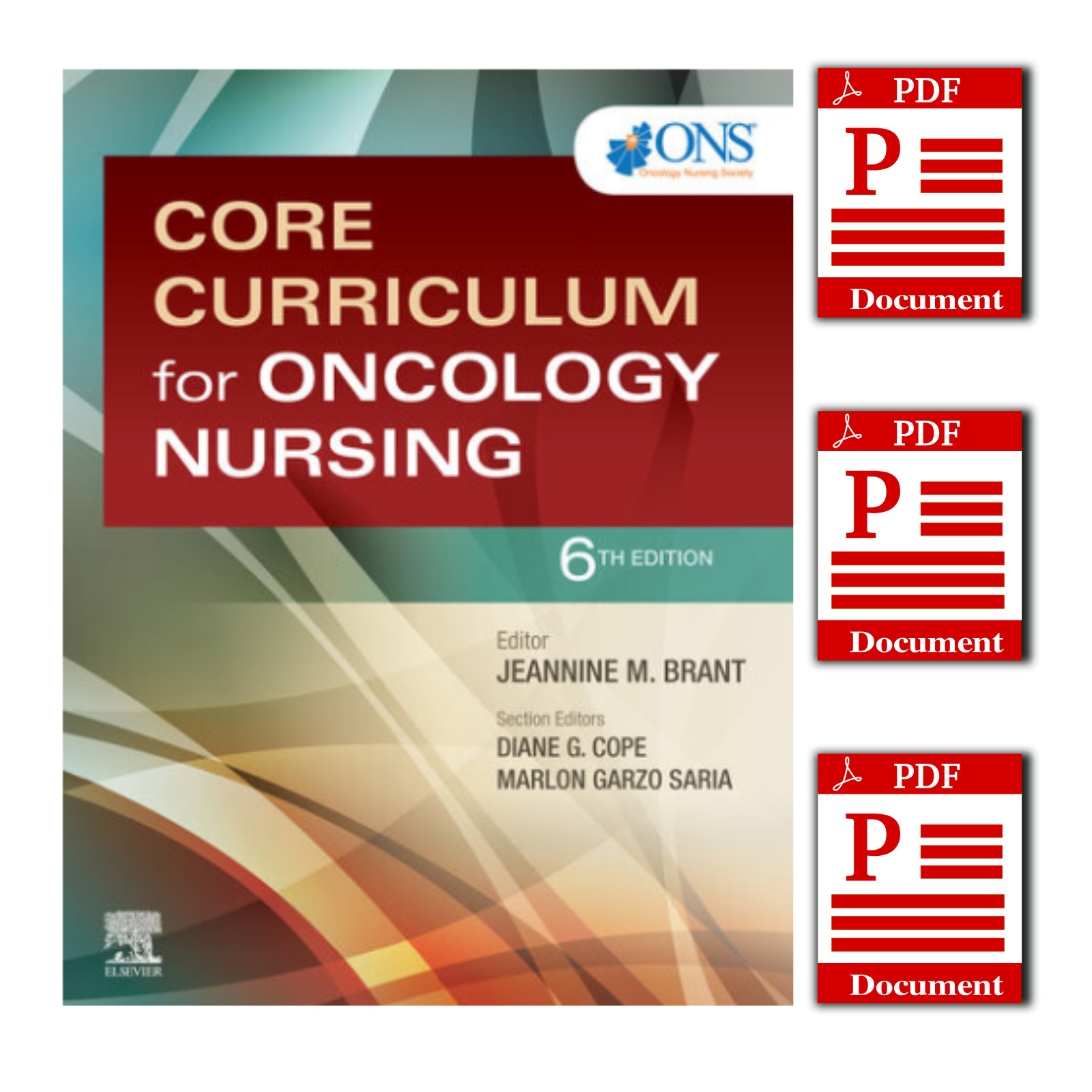 Core Curriculum for Oncology Nursing 6th Edition
