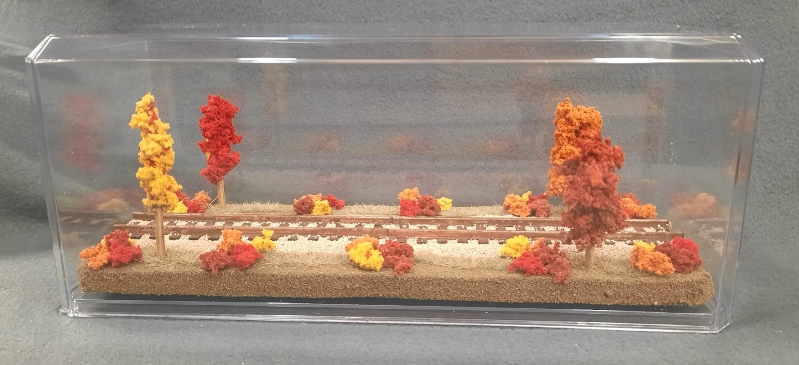 S SCALE  13" SINGLE TRACK  DISPLAY CASE- "FALL FOILAGE SCENE"-FOR  ANY S TRAINS