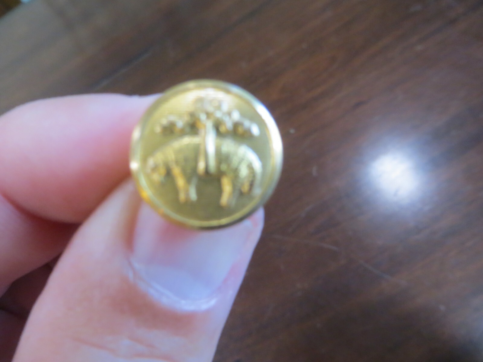 water bury cos Conn. sheep button or animal wild life vintage button