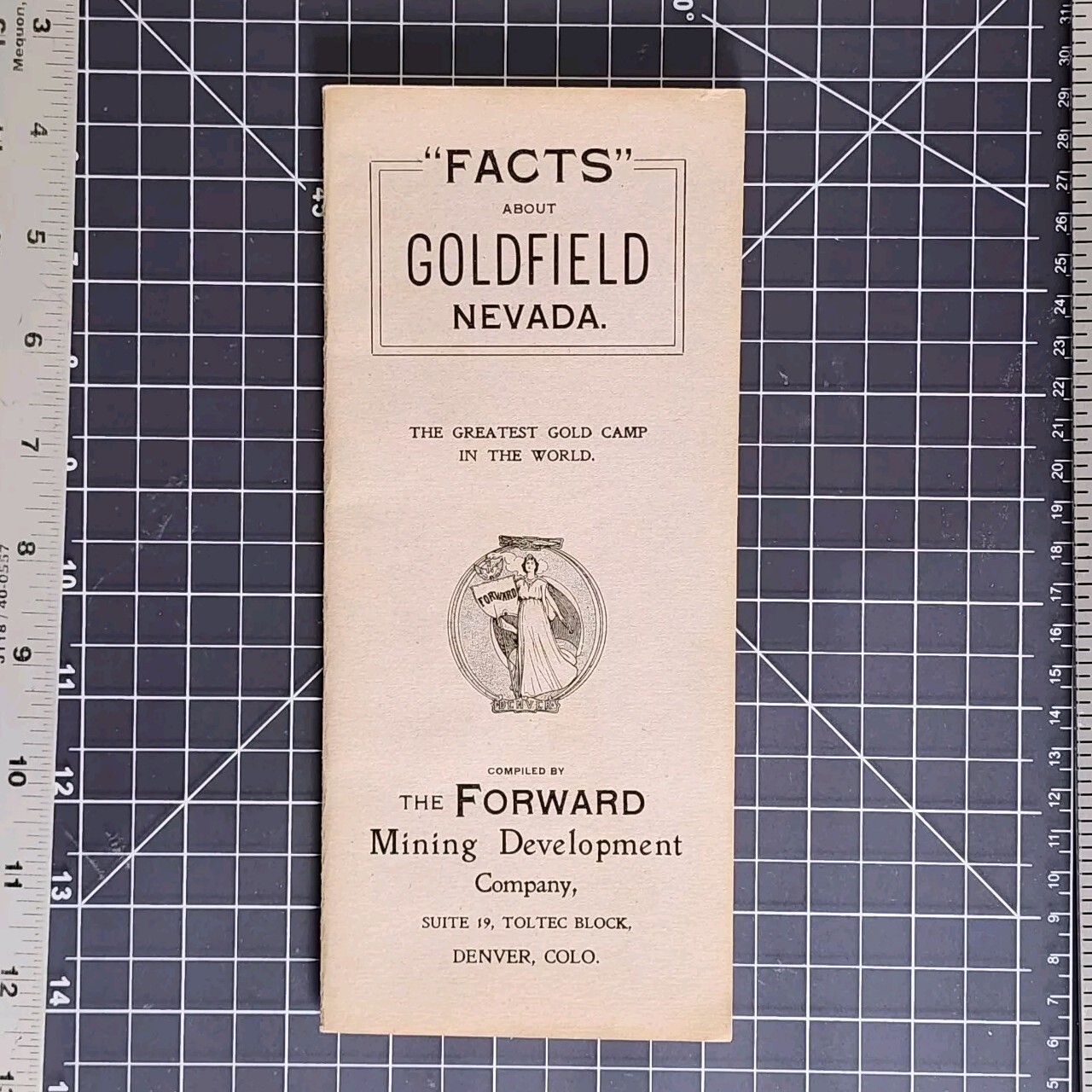 Forward Mining Development Denver CO Nevada Facts Goldfield 1905 Booklet Photos
