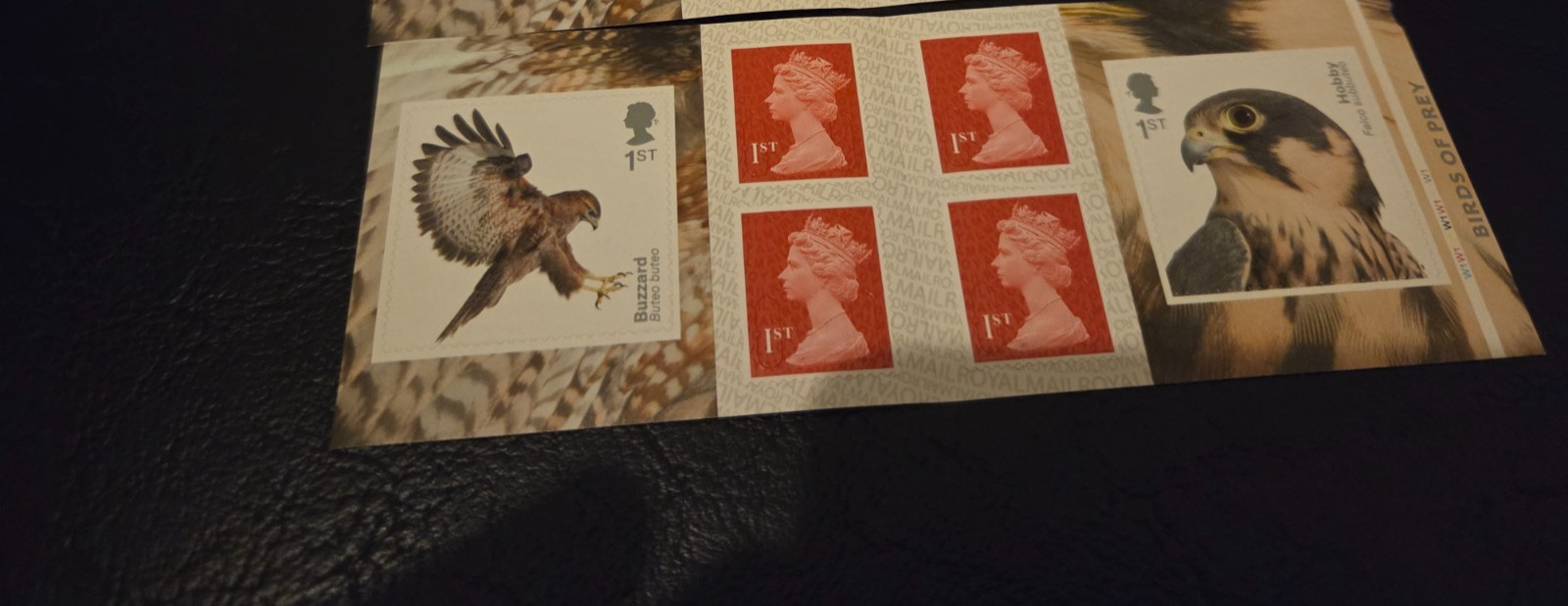 PM66 ~Birds of Prey~Stamp Booklet~~scarce~ UK