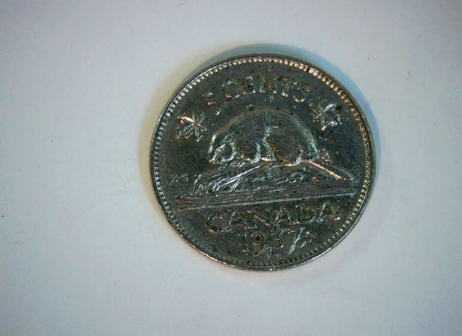 Canada 1937 5 Cents George VI 5 Cents (Beaver) Coin