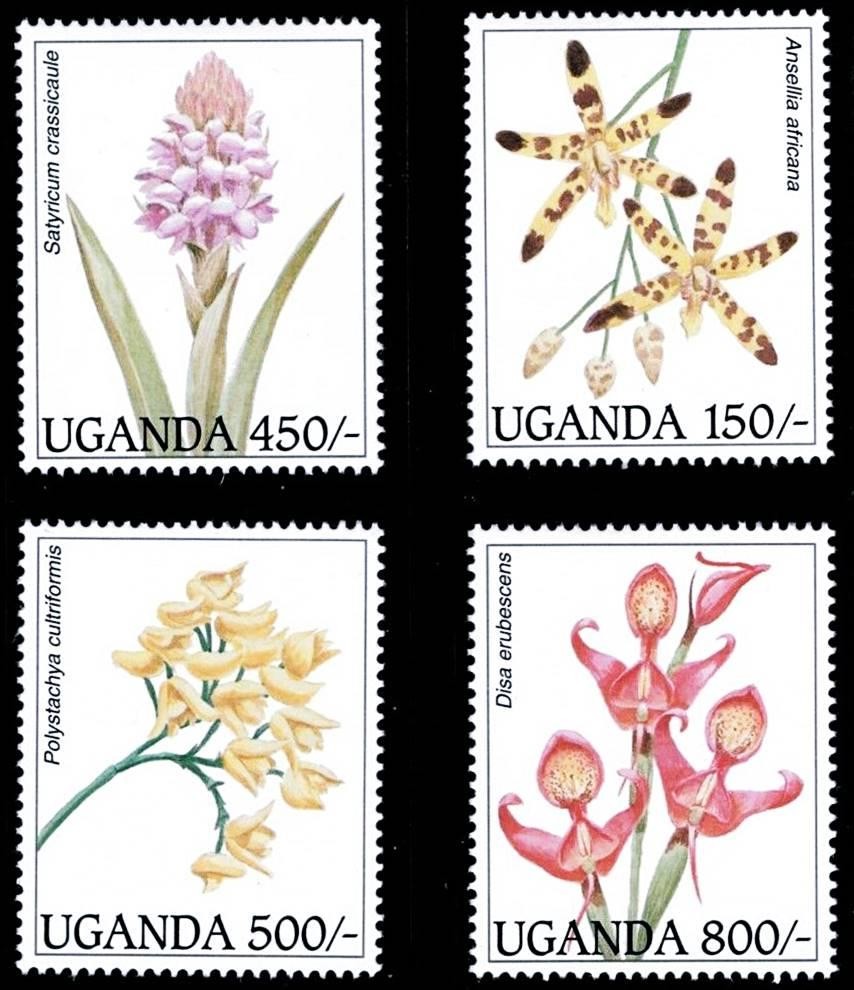 UGANDA 1995 tropical ORCHIDS / FLOWERS  MNH 🅵🆁🅴🅴 🆂🅷🅸🅿🅿🅸🅽🅶