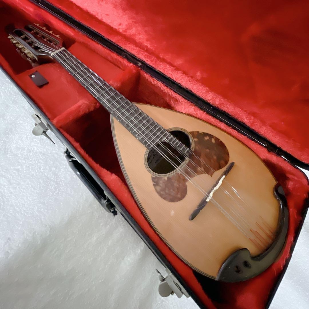 SUZUKI Mandolin M-60 with hard case