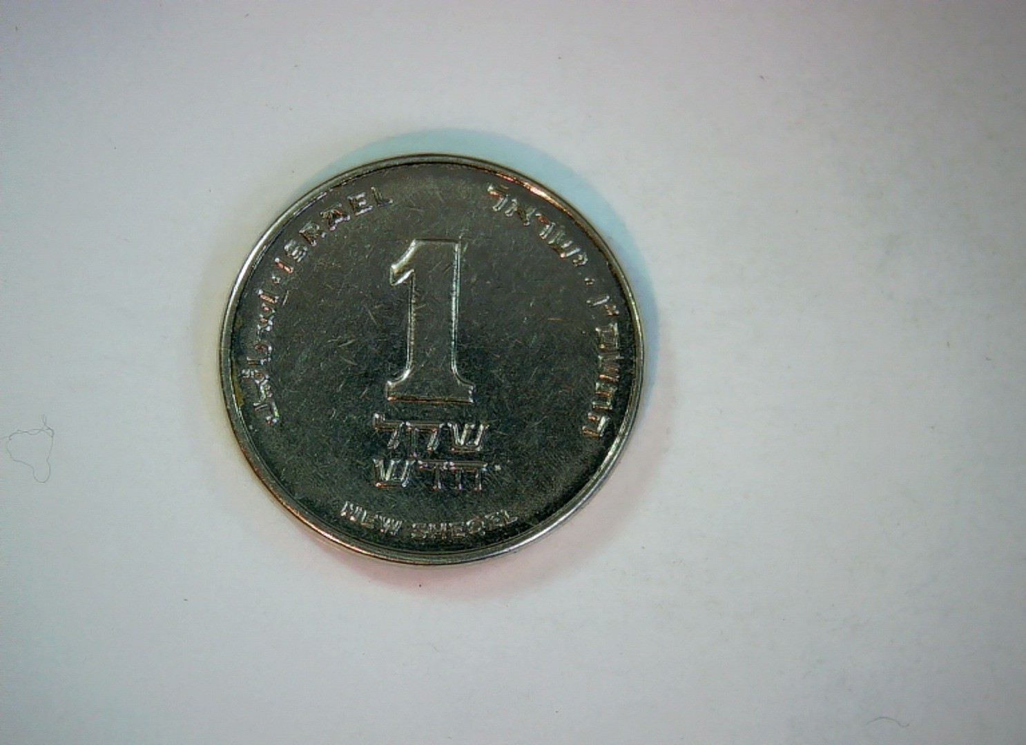 Israel 1 New Sheqel New Sheqel (modern issue) Coin