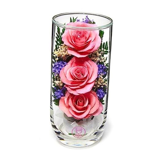  | Fresh Cut Preserved Roses in a Sealed Glass Vase | Long Lasting Grace Pink