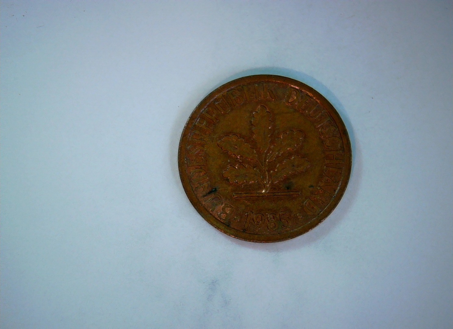 Germany (Federal Germany / West Germany) 1985 1 Pfennig Oak sprig (Bundesrepubli