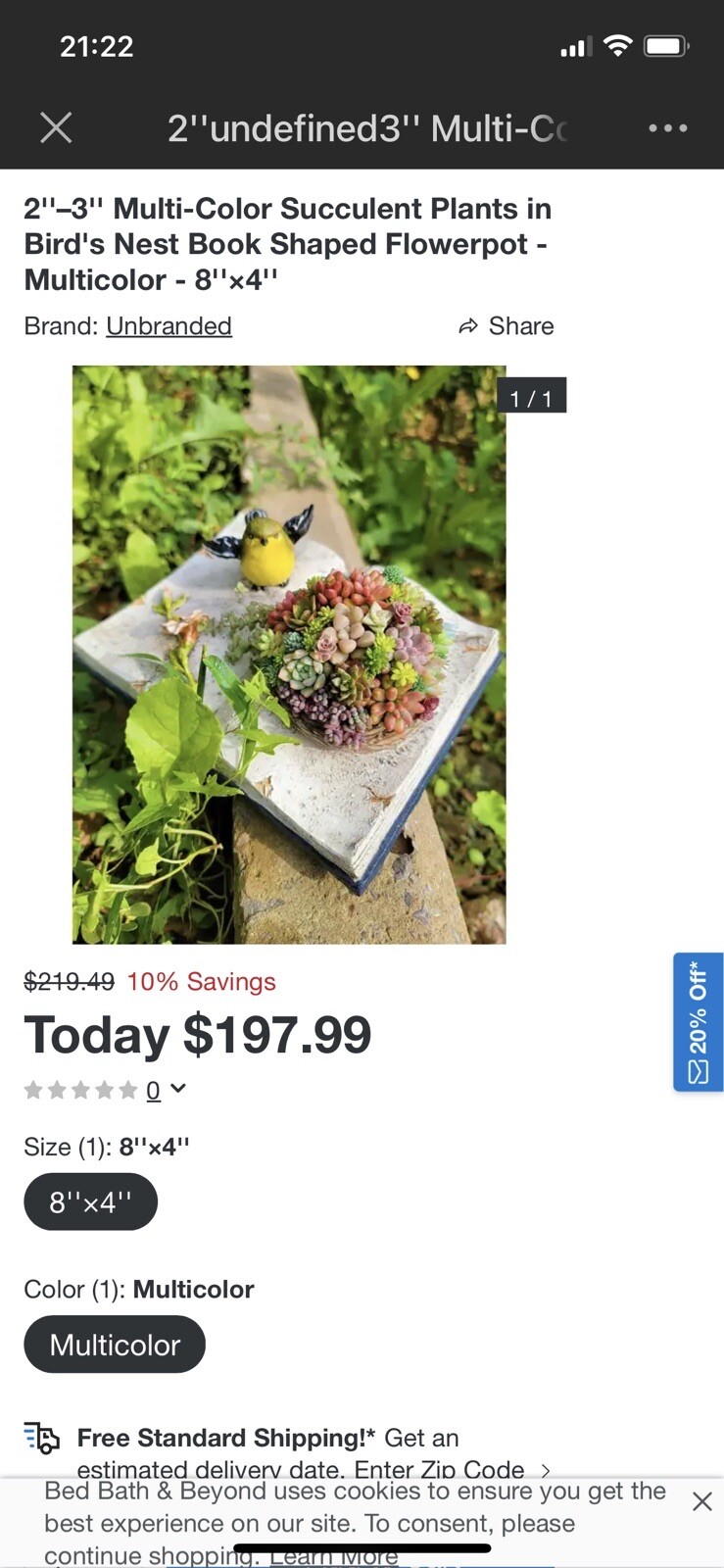 ￼￼鸟巢多肉书本