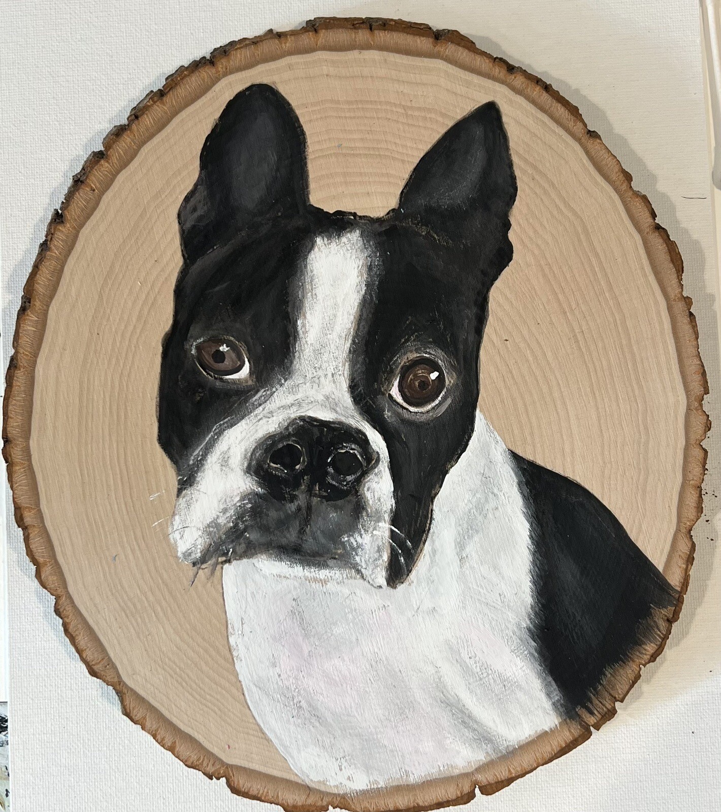 PET PORTRAIT ARTIST HAND PAINTED FROM PHOTOS OF YOUR PET,DOG,CAT, ANIMAL ART!!!!