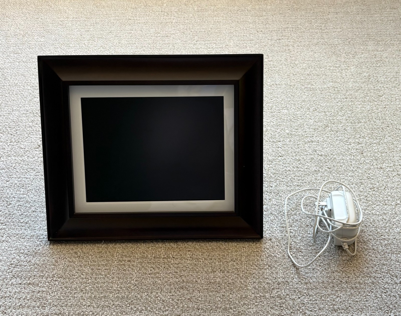 Kodak EasyShare D1025 10" Digital Picture Frame with replaceable frame