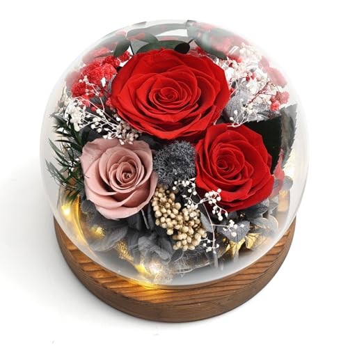 Roses Flowers Long Lasting Real Flowers,Cool Unusual Red roses, pink roses