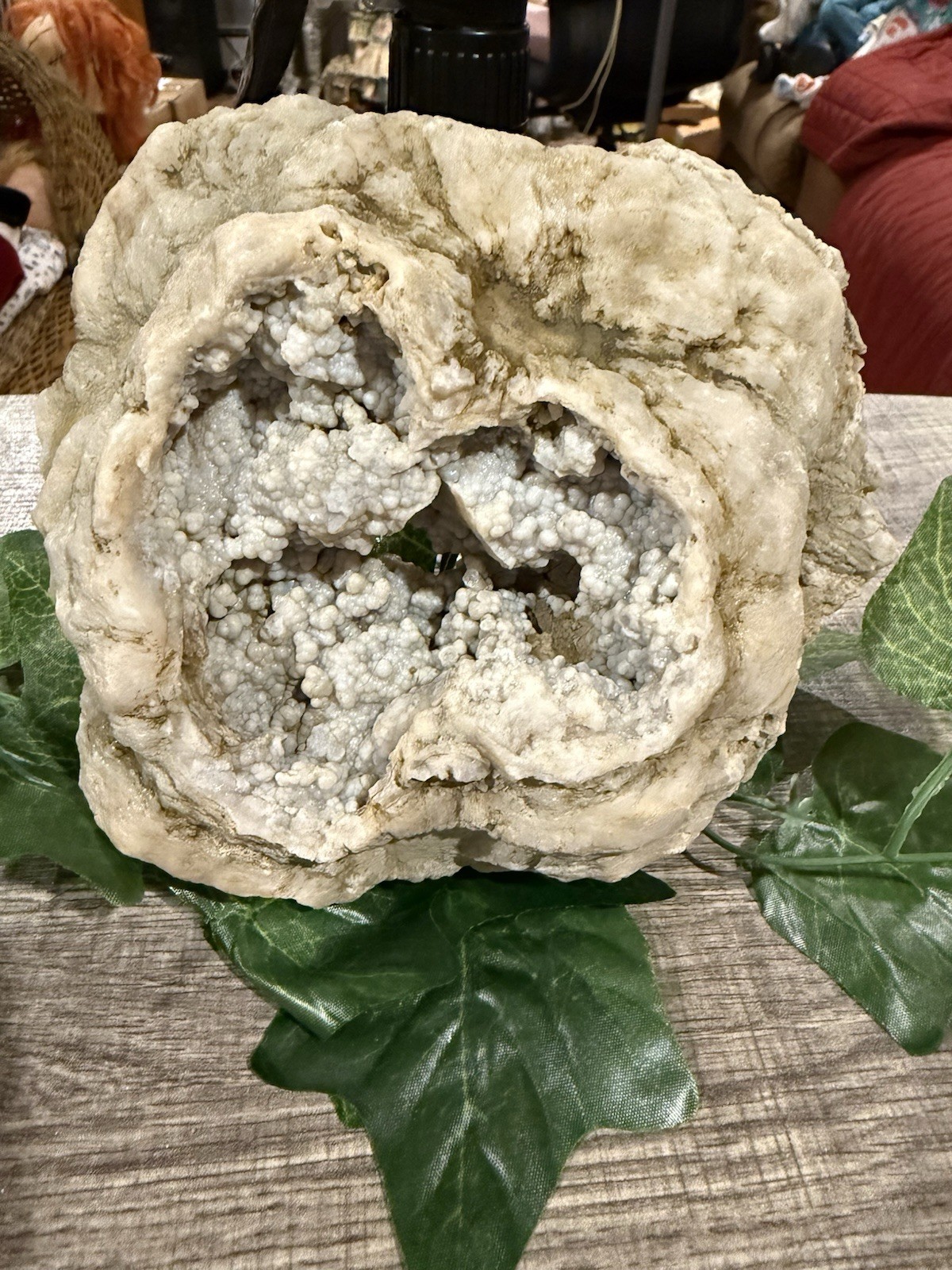 Haunted Doll Crystals For Altar (blue Chalcedony Botryoidal Geode) 