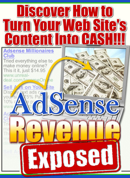 Discover How To Turn Your Website's Content Into Cash With ADSENSE Revenue (CD)