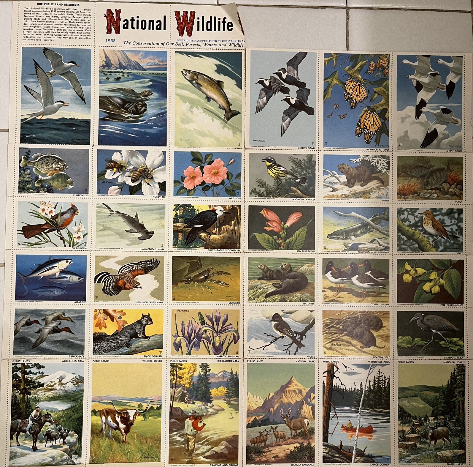Lot of 1958 National Wildlife Conservation Stamps - Full Sheet of 36, PLUS MORE!
