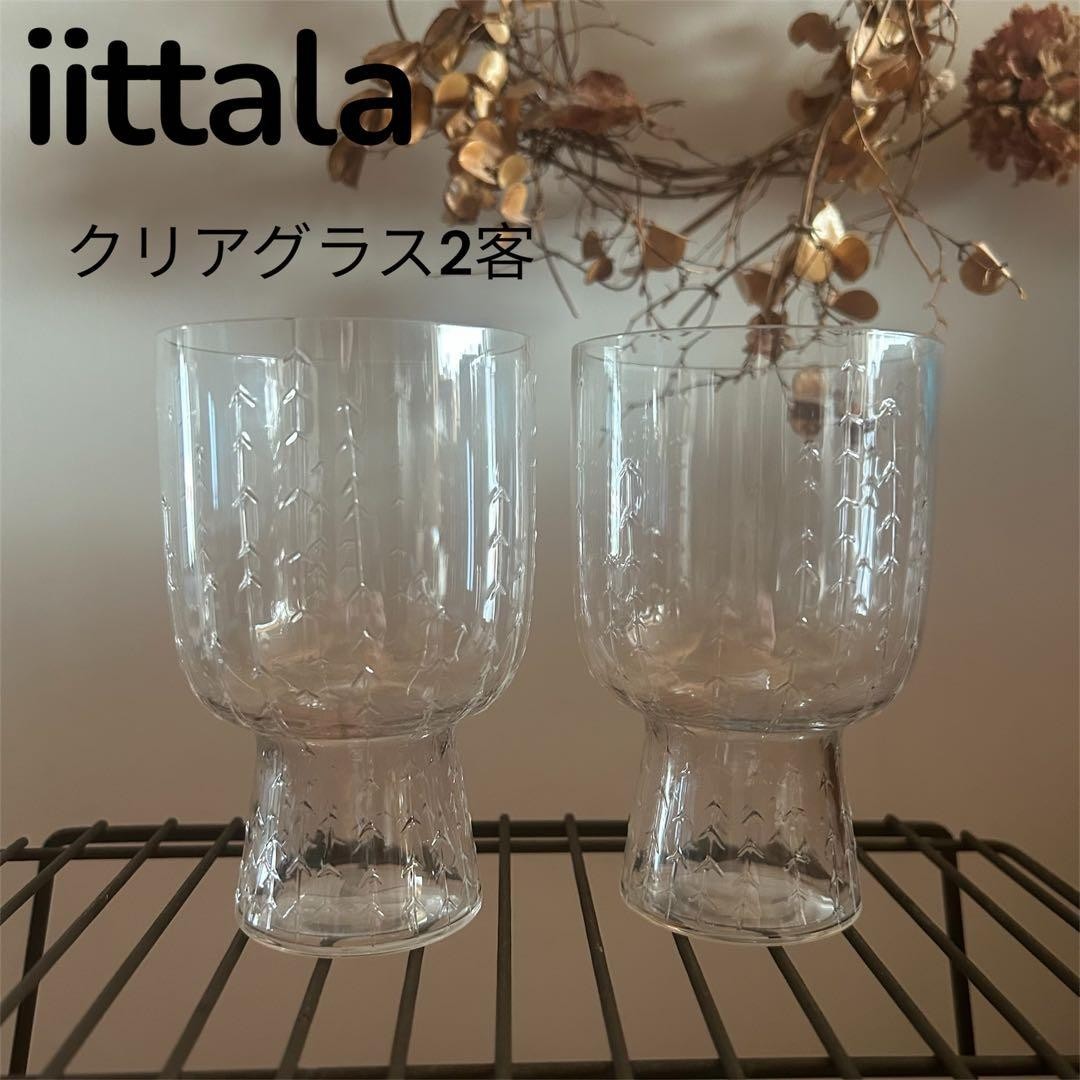 Iittala Sarjaton Metsa Glass Tumbler Clear Pair Set