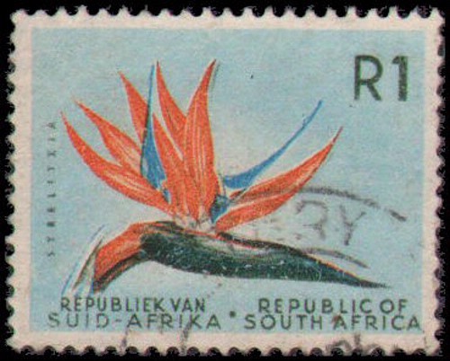South Africa #266 Used