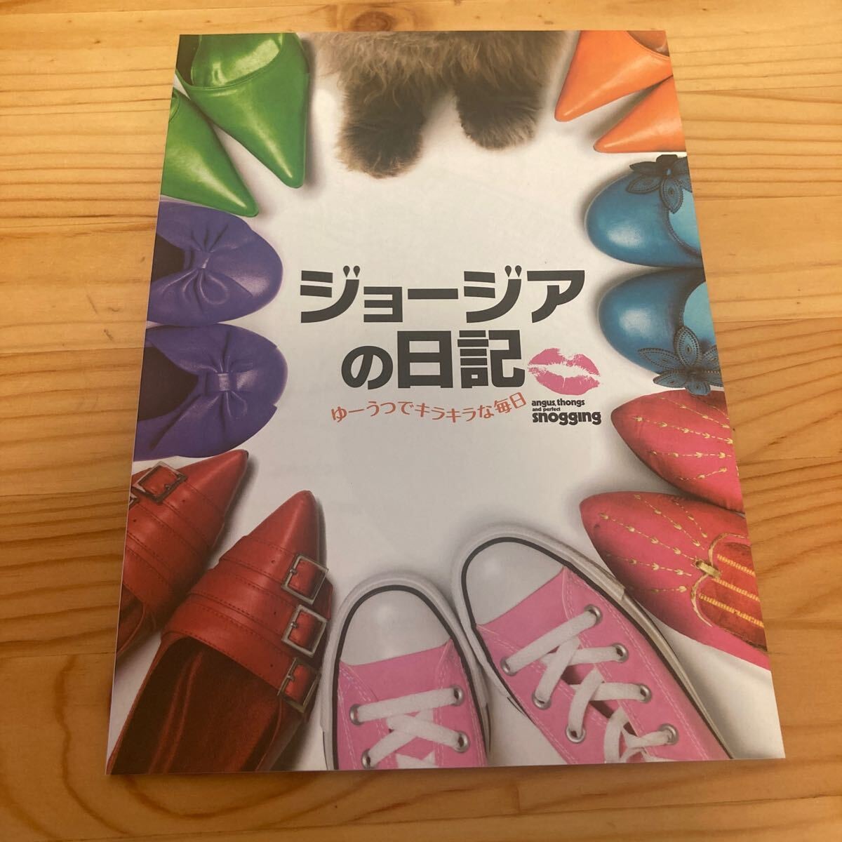 The Georgia Diaries movie brochure